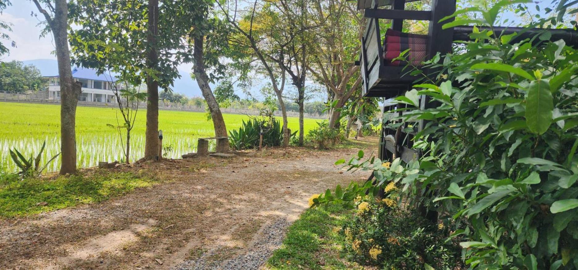 Tung Tong Homestay & Camping Mae Rim Exterior foto