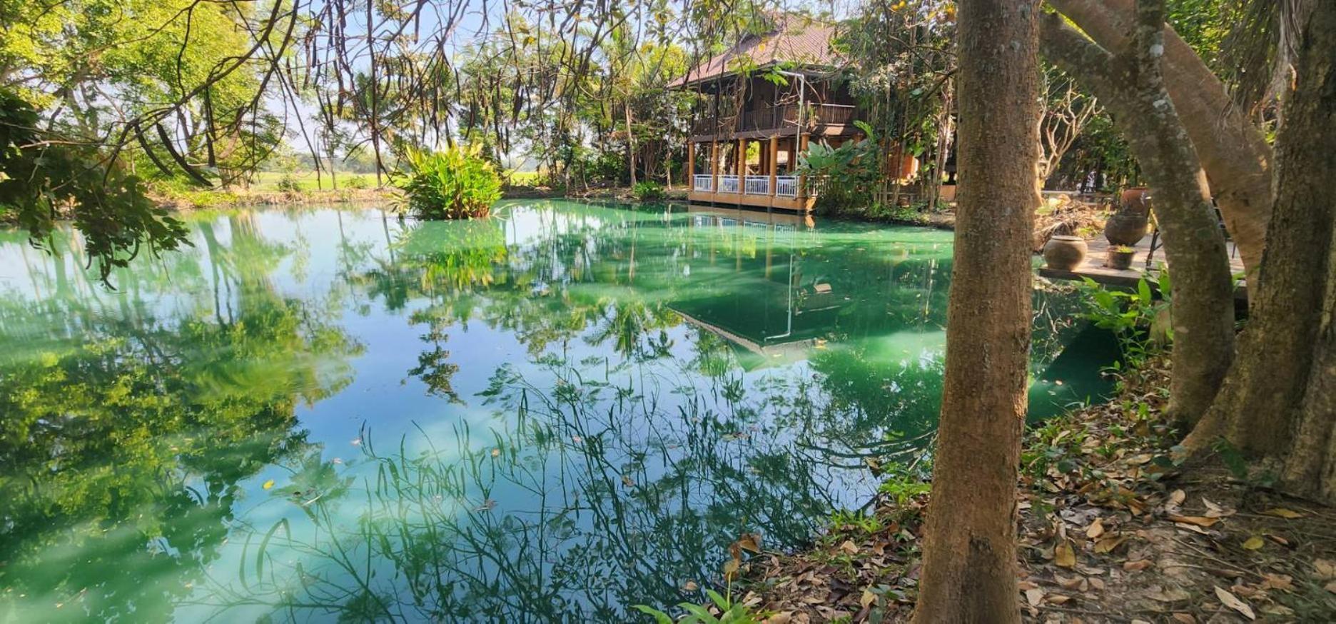 Tung Tong Homestay & Camping Mae Rim Exterior foto