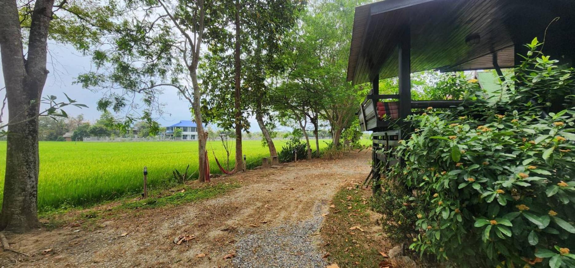 Tung Tong Homestay & Camping Mae Rim Exterior foto