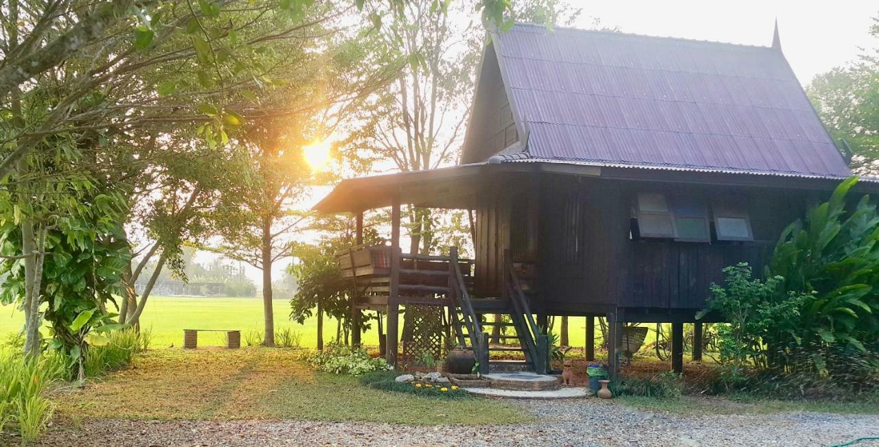 Tung Tong Homestay & Camping Mae Rim Exterior foto
